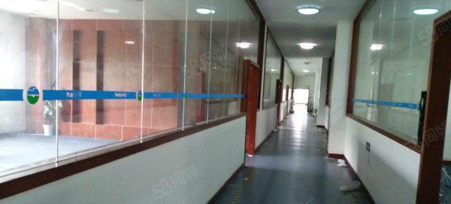 近布吉300平，900，1500平米原房东厂房