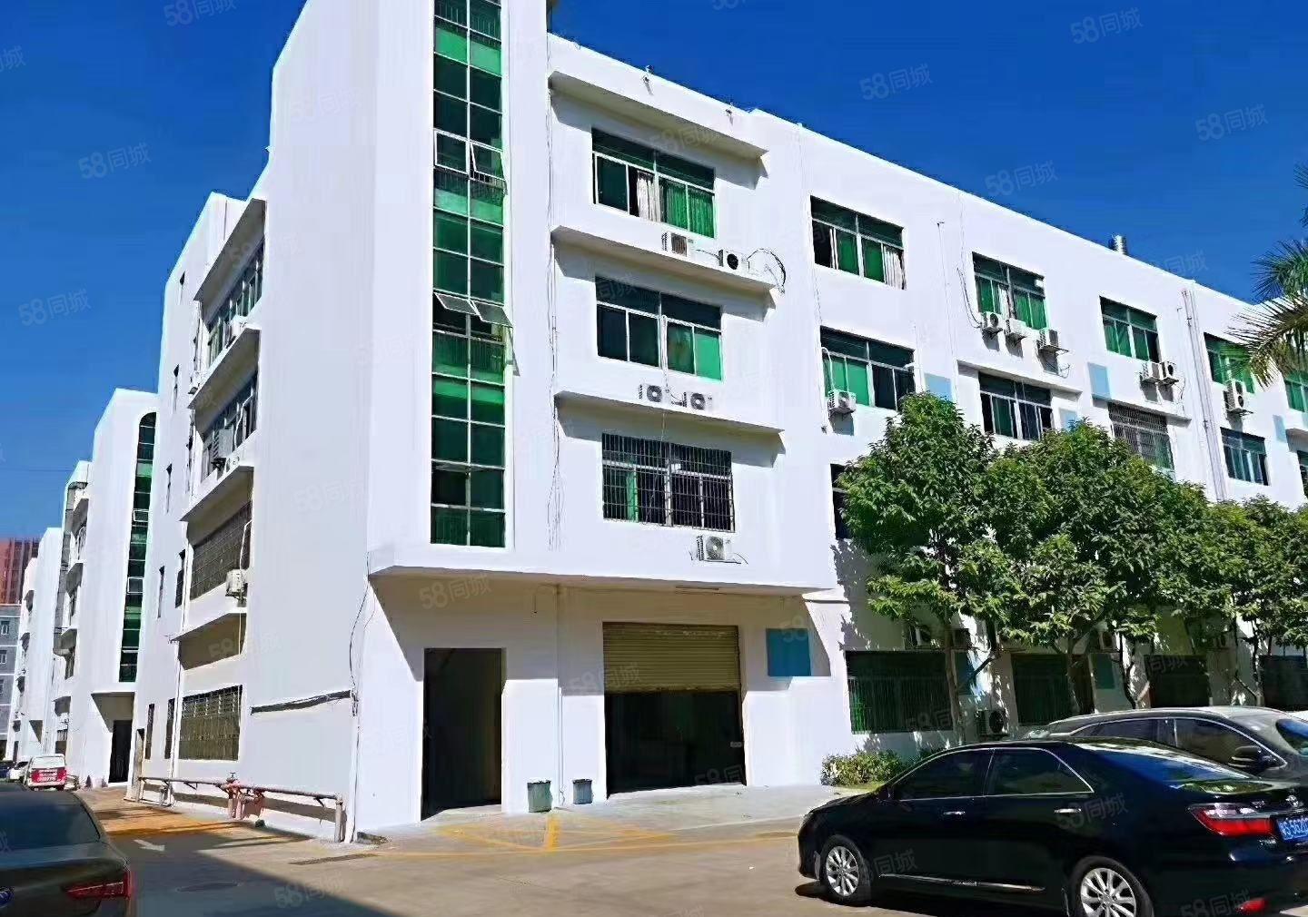 龙东原房东大型工业园新空出一楼1000平方带牛角厂房可分租