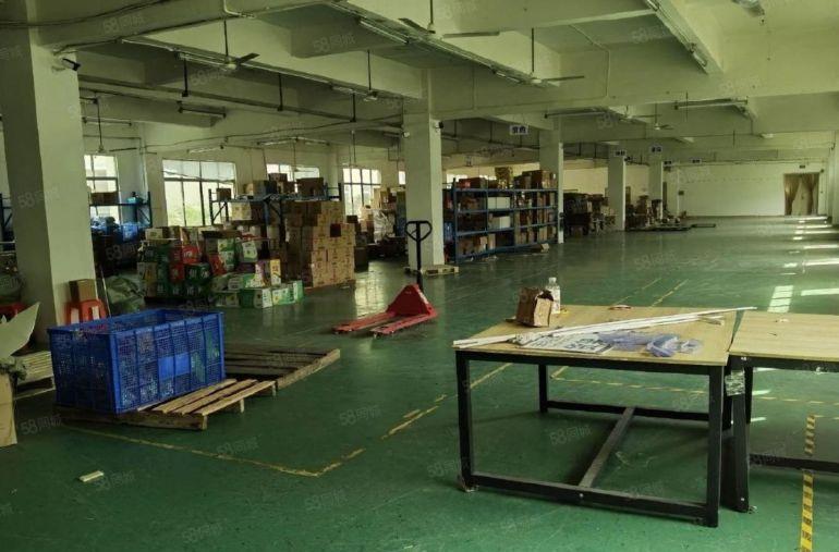 龙岗南联原房东红本独院5000平仓库厂房出租 500平起分租