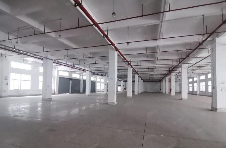 出租平湖白泥坑海吉星1600平标准厂房出租仓库招租