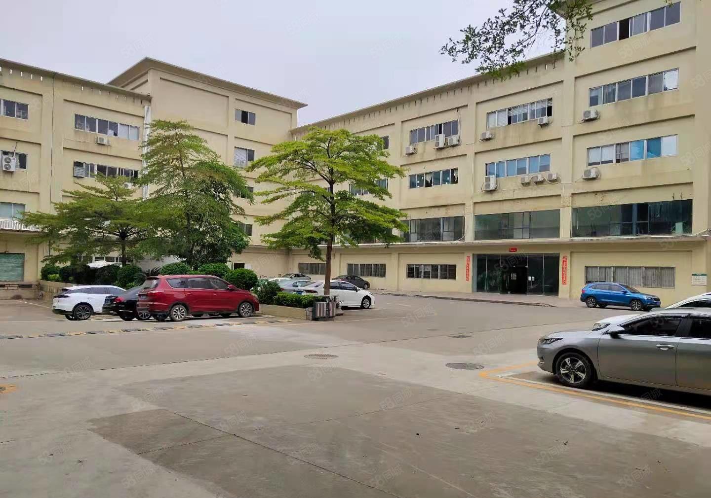 爱联嶂背工业园新出原房东标准厂房一楼1500平方出租可分租