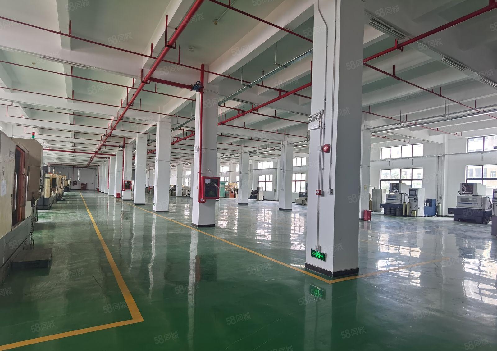 坪地高桥工业区新空出独栋厂房1万平方厂房出租500平起租