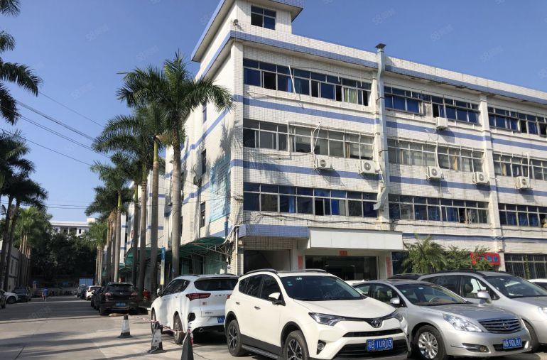 龙岗坪地原房东科技园楼上500平带装修办公室厂房出租 可分租