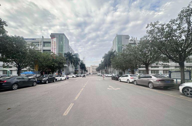 坂田红本补贴厂房出租300平起一楼精装修电商办公仓库