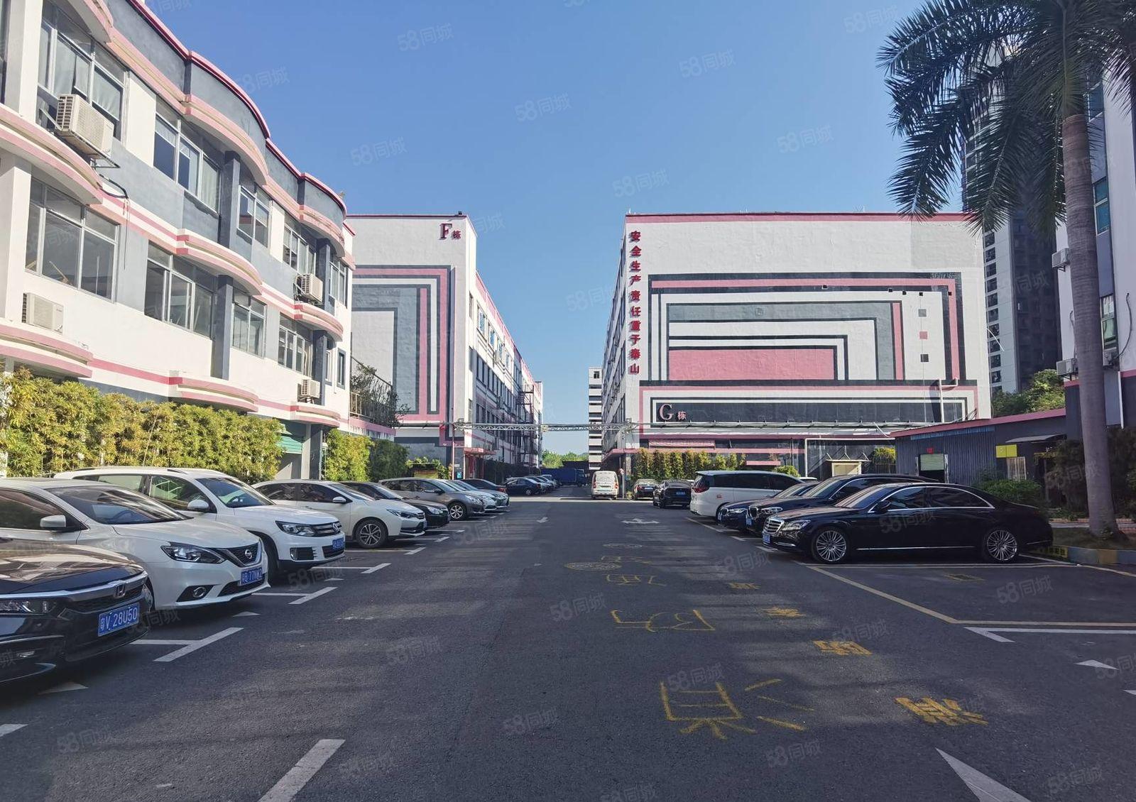 嶂背工业区新空出2楼1500平方带精装修前台和办公室厂房出租