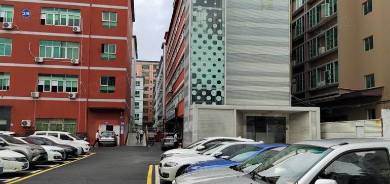 龙岗吉祥地铁口精装修电商办公室加仓库加直播间低价出租，可分租