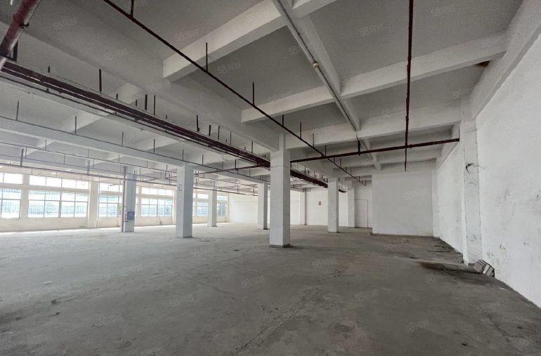 坂田布吉上李郎地铁口附近工业区1000平标准厂房出租仓库招租