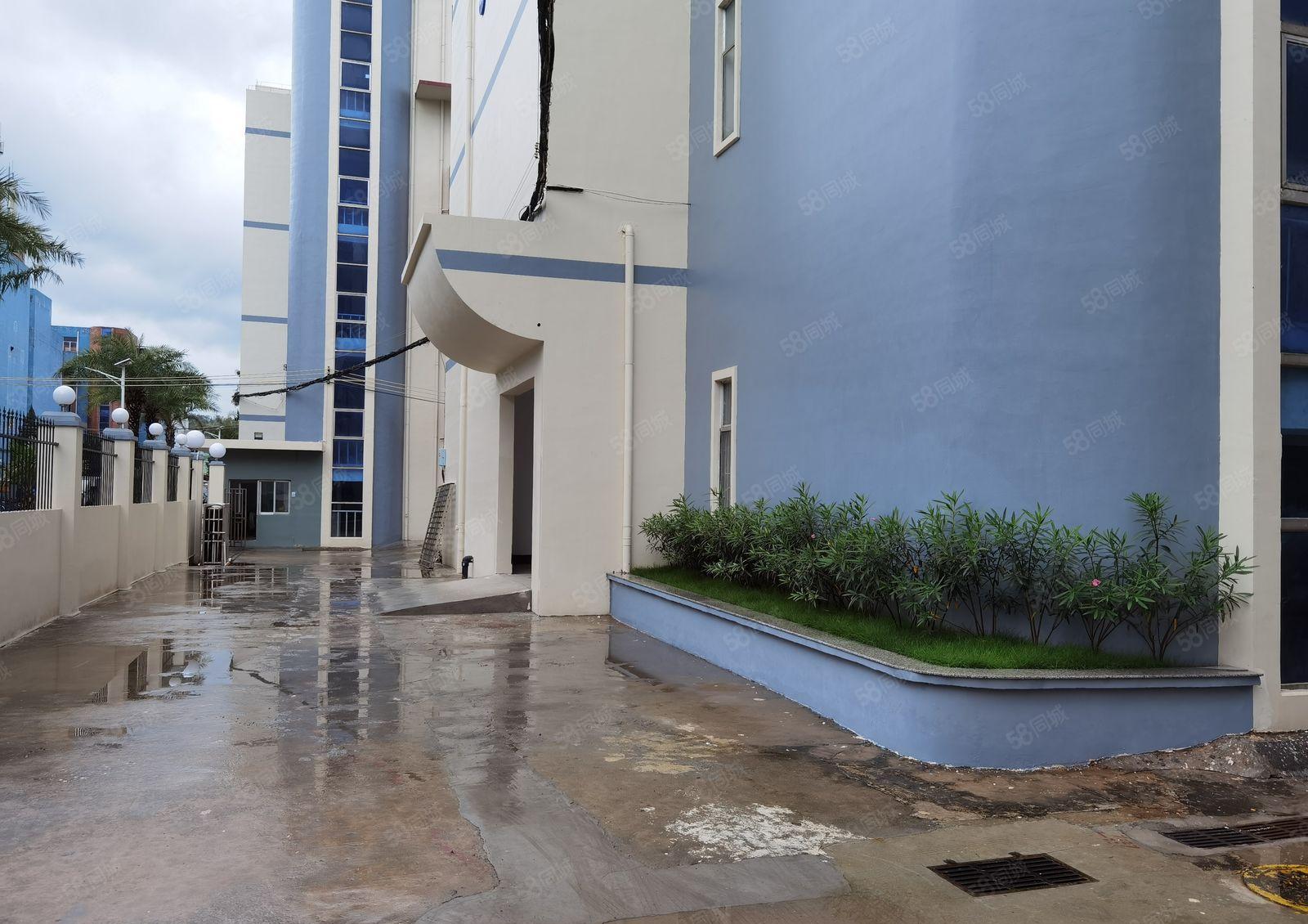 龙岗爱联新出独院5000平厂房仓库低价出租高速口原房东带装修