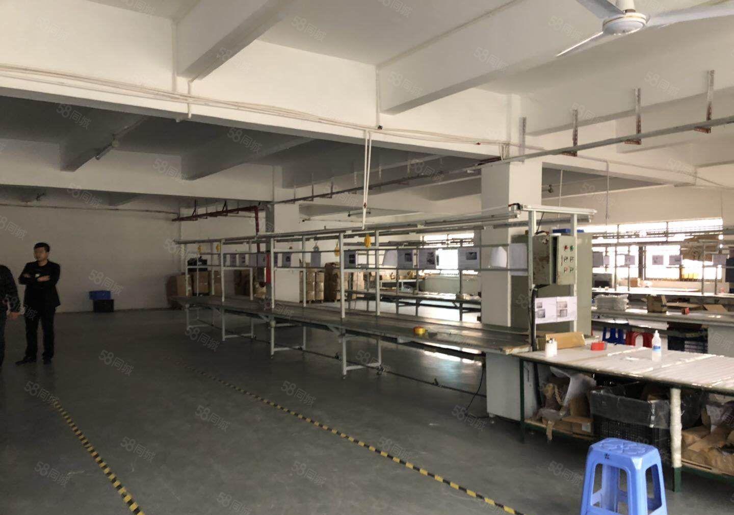 坪地四方埔经典小独院两层850平出租