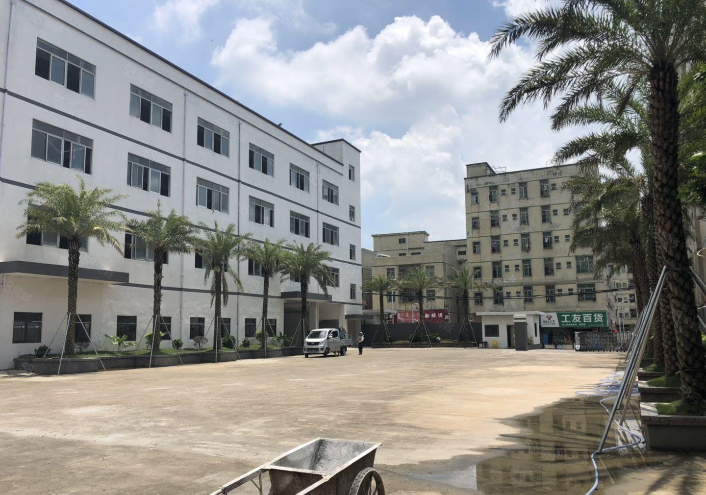 业主直租爱联嶂背独院一二楼500平起租带精装修厂房仓库出租