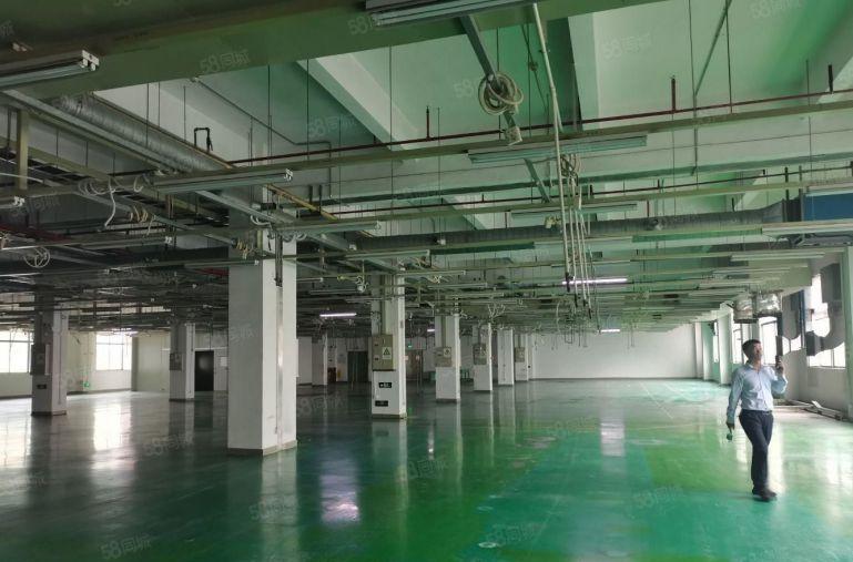 坂田地铁口一楼二楼各2000平厂房出租大小面积可分组现成装修