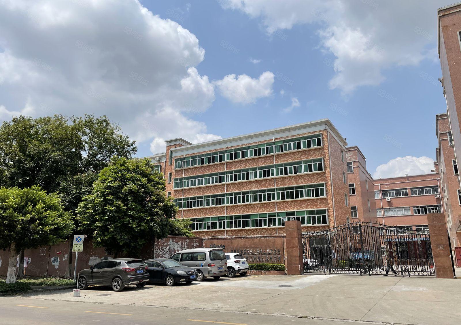 同乐科技园新出原房东红本厂房一楼2000平方厂房出租可分租