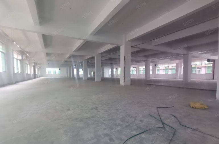 深圳龙岗龙城国际1000平标准厂房低价出租原房东精装修