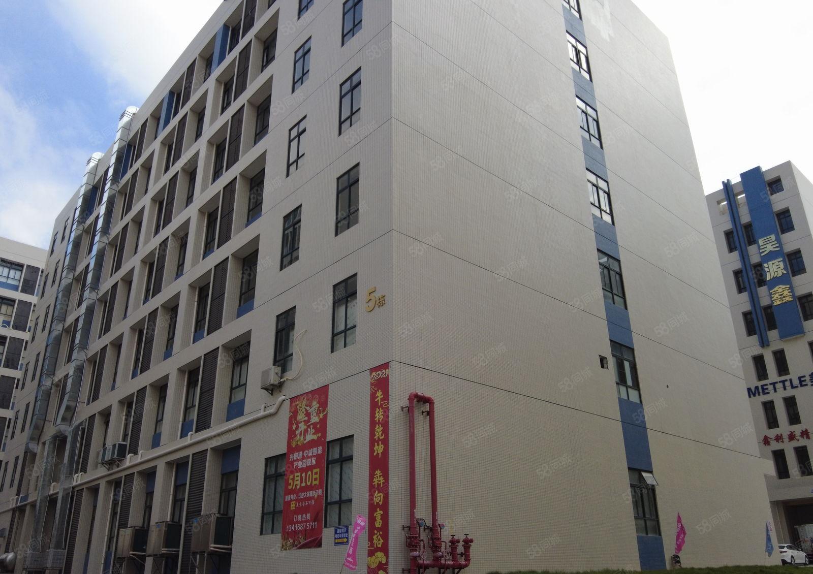 坂田上雪200至4000平原房东红本厂房出租1万平空地大