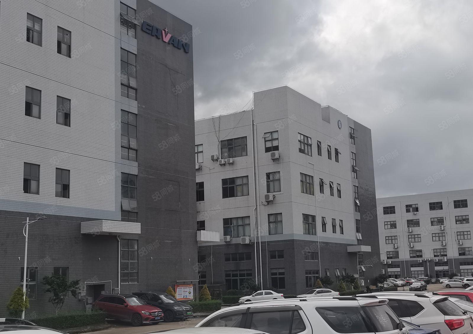 2500平起分龙岗宝龙独栋10000平厂房出租一楼层高6米