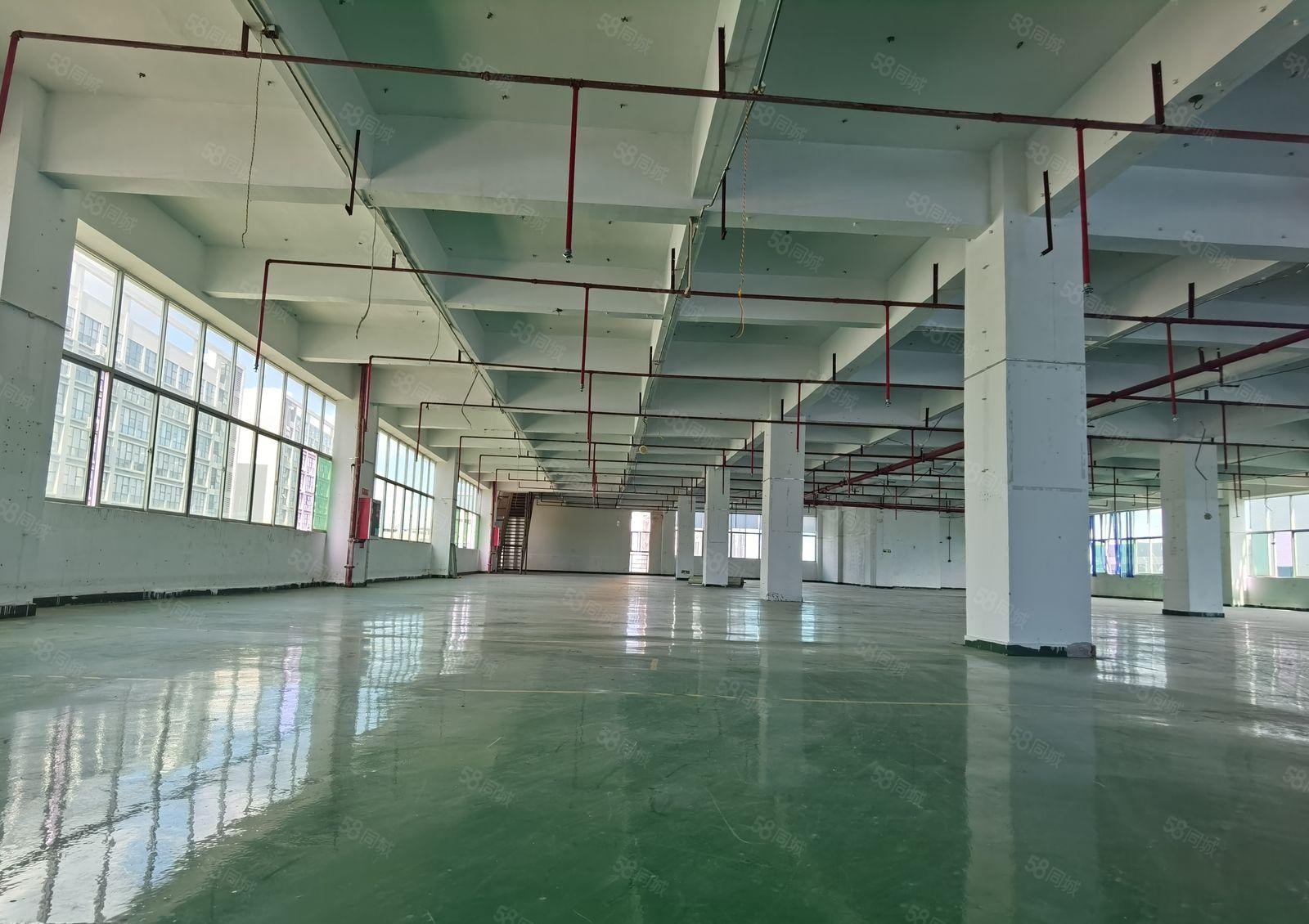 横岗大康工业区新出楼上1250平整层独院厂房出租空出二层任选