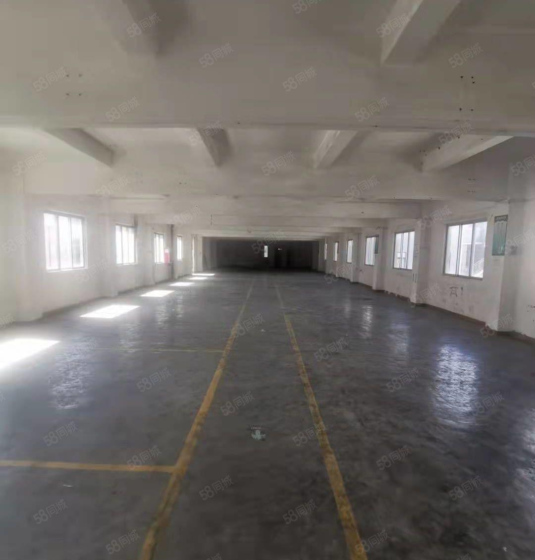 横岗安良3800平方独门独院出租空地大