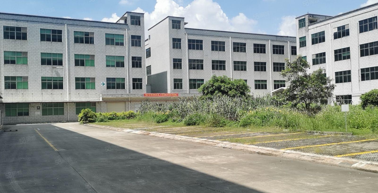 宝龙原房东独院原房东红本60000平厂房仓库出租可整租可分租