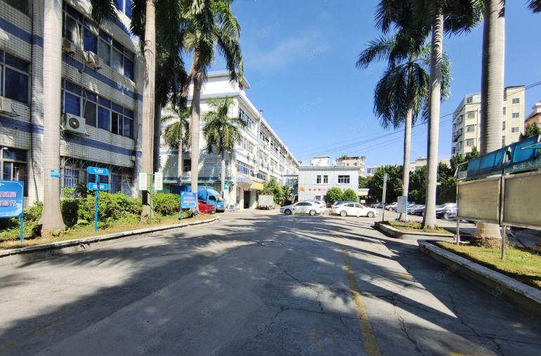 龙岗爱联原房东科技园500平方精装修办公室厂房仓库出租