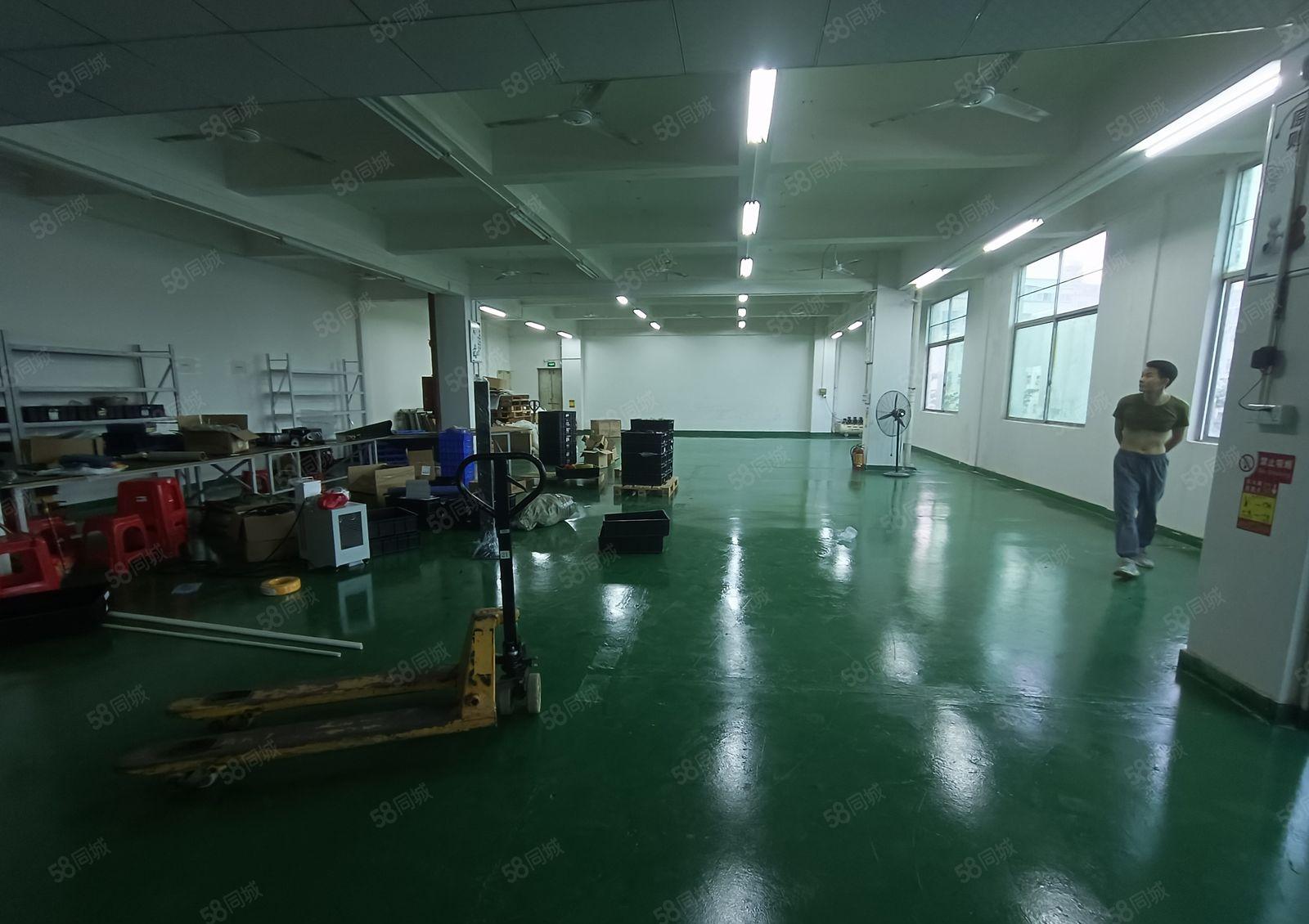 平湖富民工业区1000平方精装修厂房仓库出租(大小可分租)