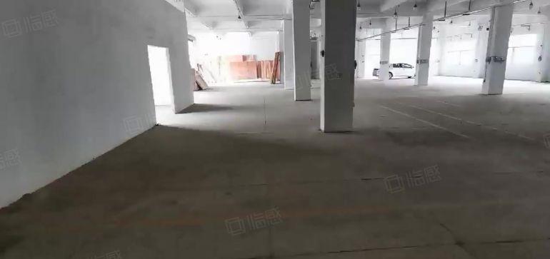 龙岗横岗厂房出租5000平独门独院整租分租仓库出租超大空地