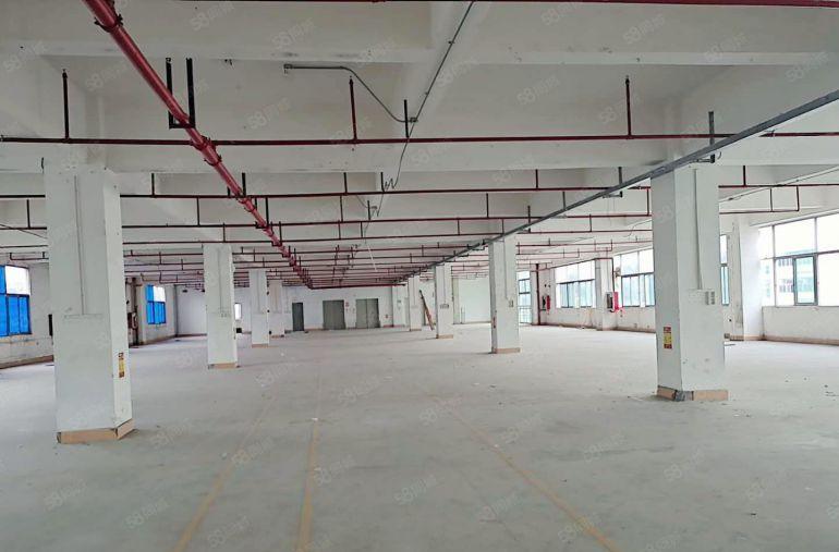 龙岗横岗原房东12元起厂房仓库一楼楼上2000平200平分租