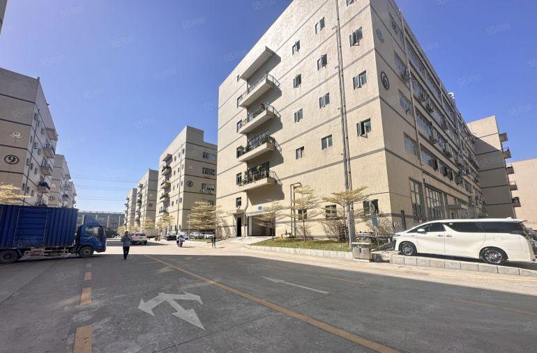 免租年底 坪地原房东工业园楼上1000平带3间办公室厂房出租