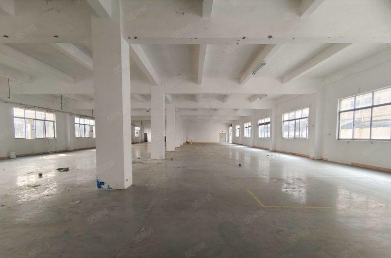 龙岗同乐独院厂房出租一楼1000平带地坪漆精装修办公室可分租