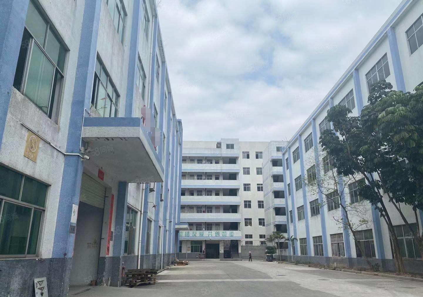 龙岗嶂背新空出2楼1500平方带精装修前台和办公室厂房出租