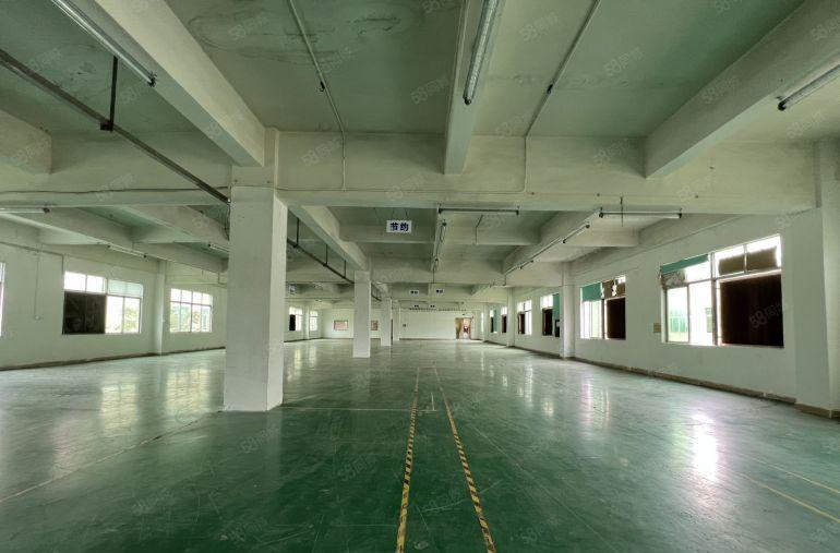 龙岗爱南路独院一楼700平方仓房仓库出租空地大好招工层高6米