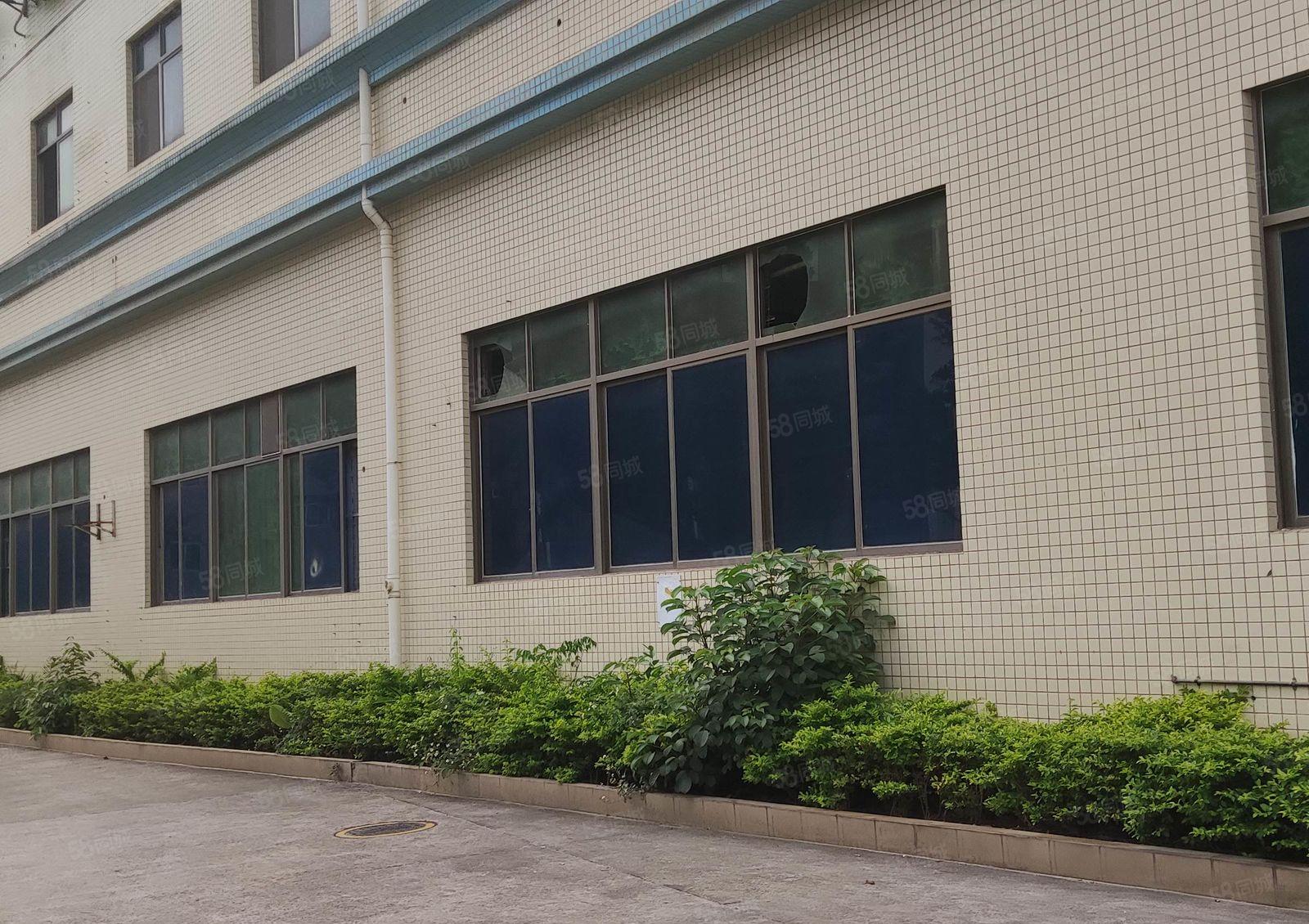 龙岗天安数码城  附近楼办公仓库  600平米 出租