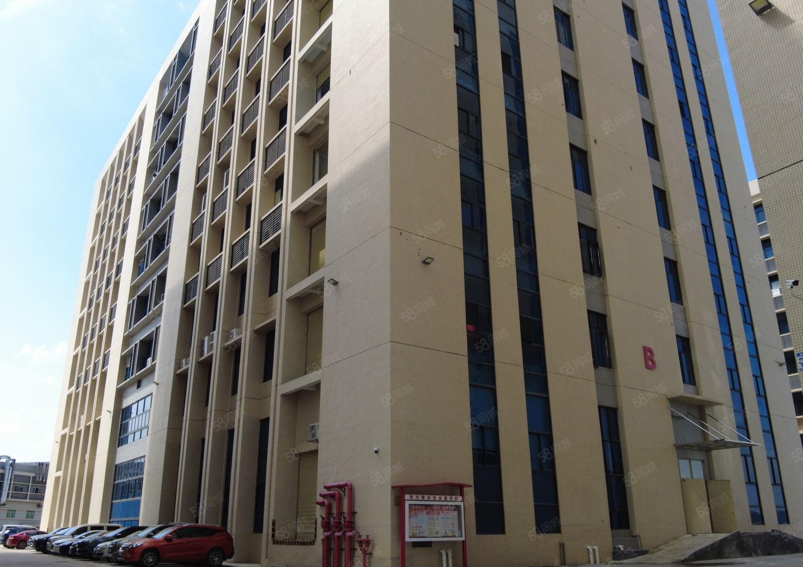 坂田上雪200至4000平原房东红本厂房出租1万平空地大