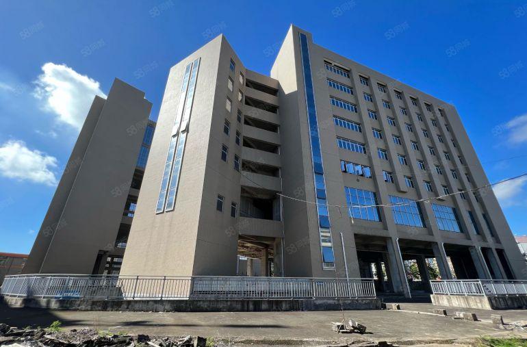 龙岗中心城地铁口独门独院特种厂房20000平方出租层高10米