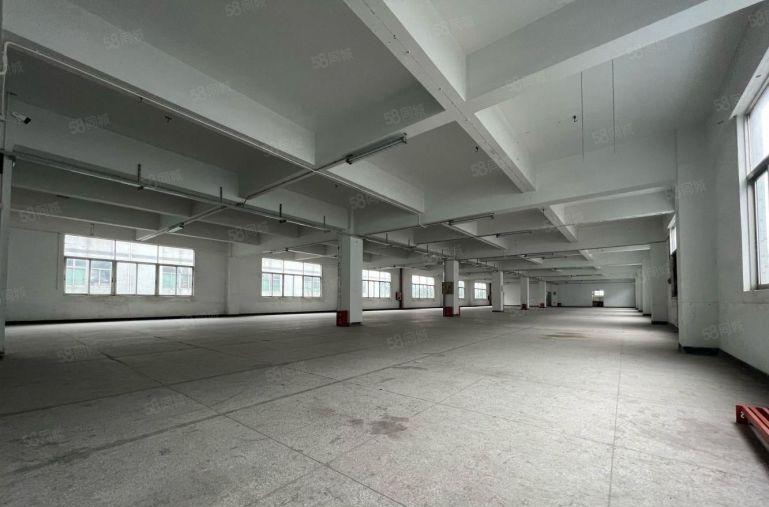 超长免租期，横岗六约珠宝基地4685平，大小分租，不限行业