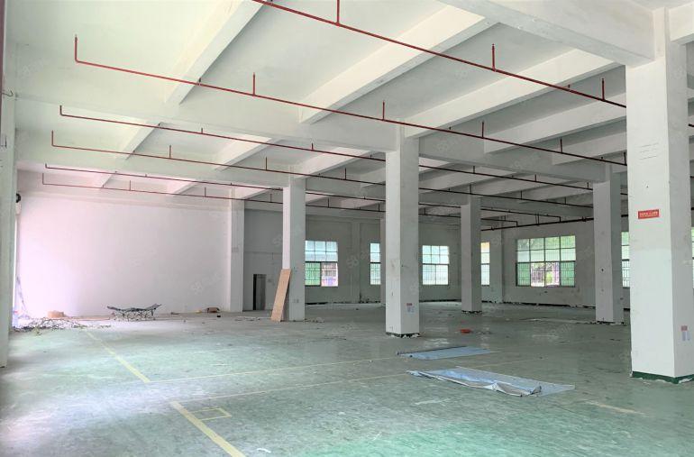 平湖禾花工业园独栋厂房9600平厂房仓库出租可分租水电齐全