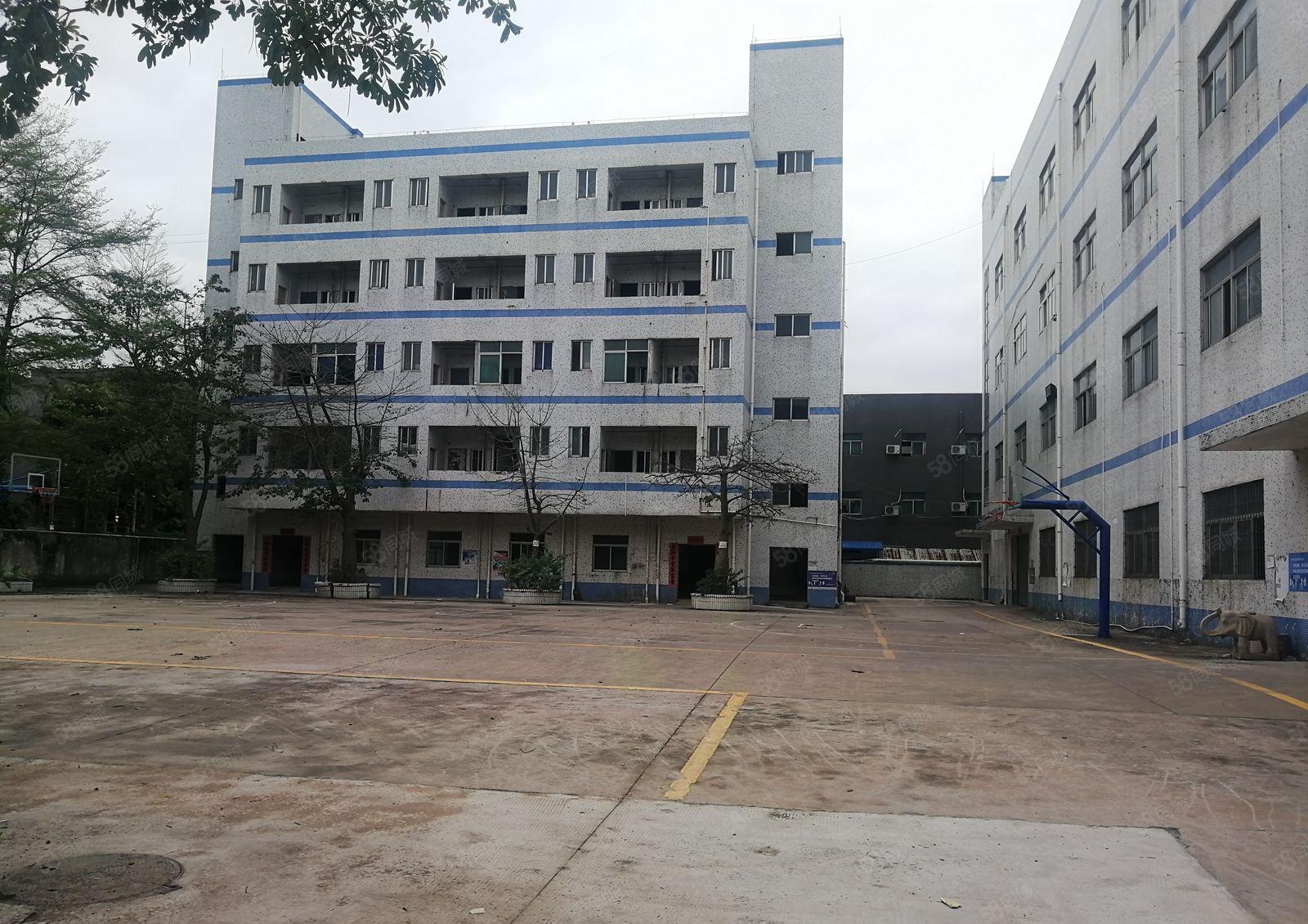 龙岗南联地铁口新出标准一楼厂房1000平米原房东