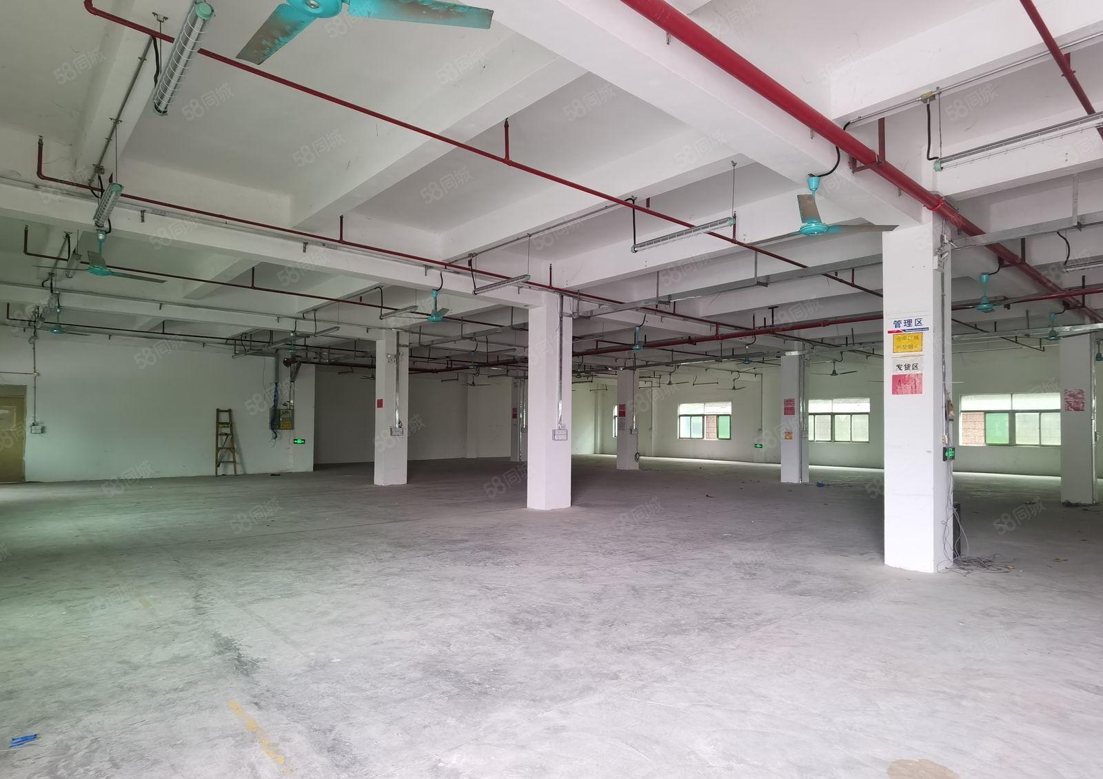 独栋起分租！带喷淋！带红本！横岗独门独院厂房23000平出租