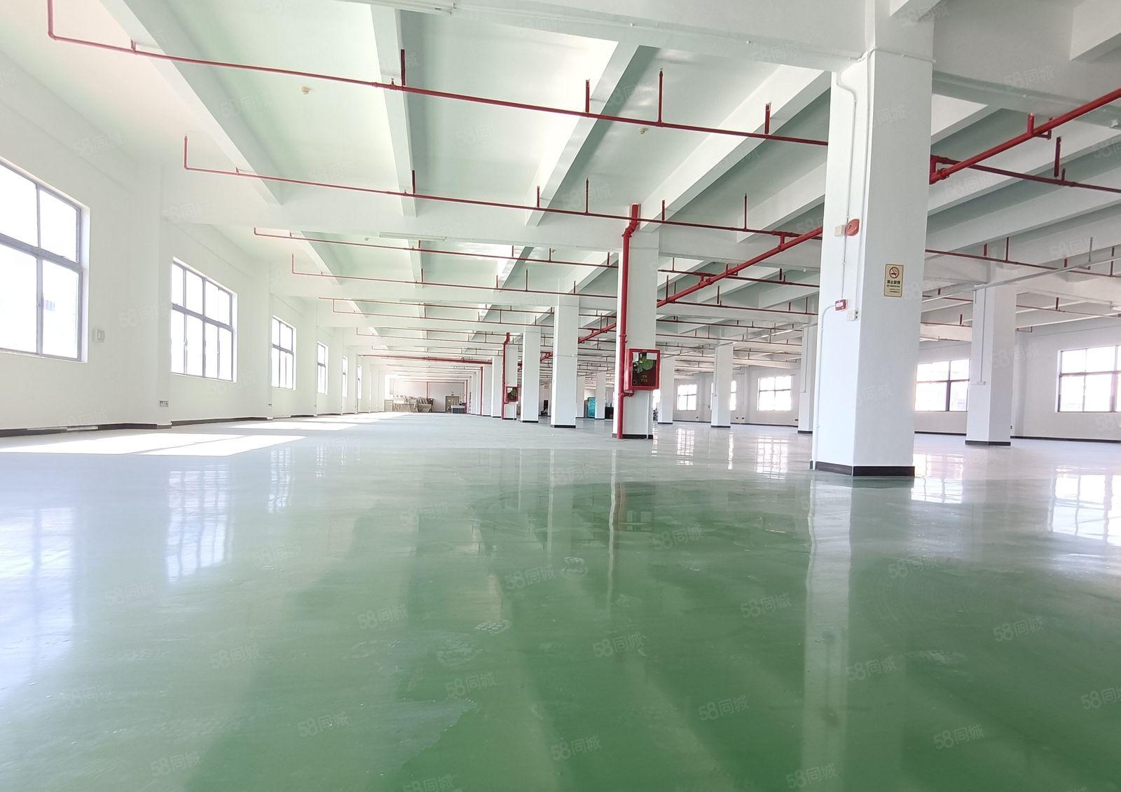 低价分租100平起电商园厂房2000平带装修一楼厂房仓库出租