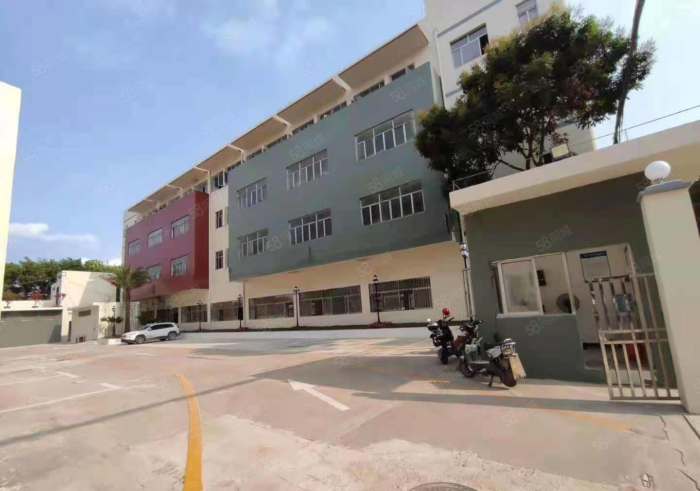 龙岗独门独院厂房出租6500平共8套坪地同乐坪山20元一平