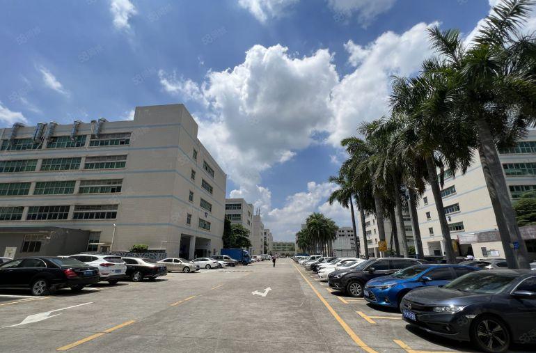 层高6.5米宝龙原房东工业区新出一楼3000平方仓库厂房出租