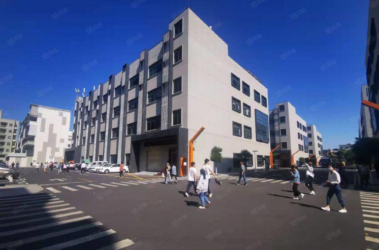 100平起心城电商园300平精装修带家私办公仓库厂房出租