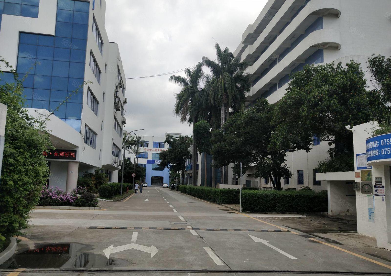 南联地铁口原房东一二楼各1500平 全新地坪漆 大小可分