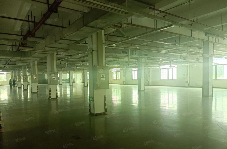 龙岗坪地坪东实际面积2200平带现成水电办公室装修地坪漆