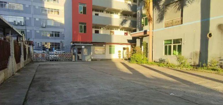 龙岗原房东红本独院6000平方厂房低价出租合同10年主干道边