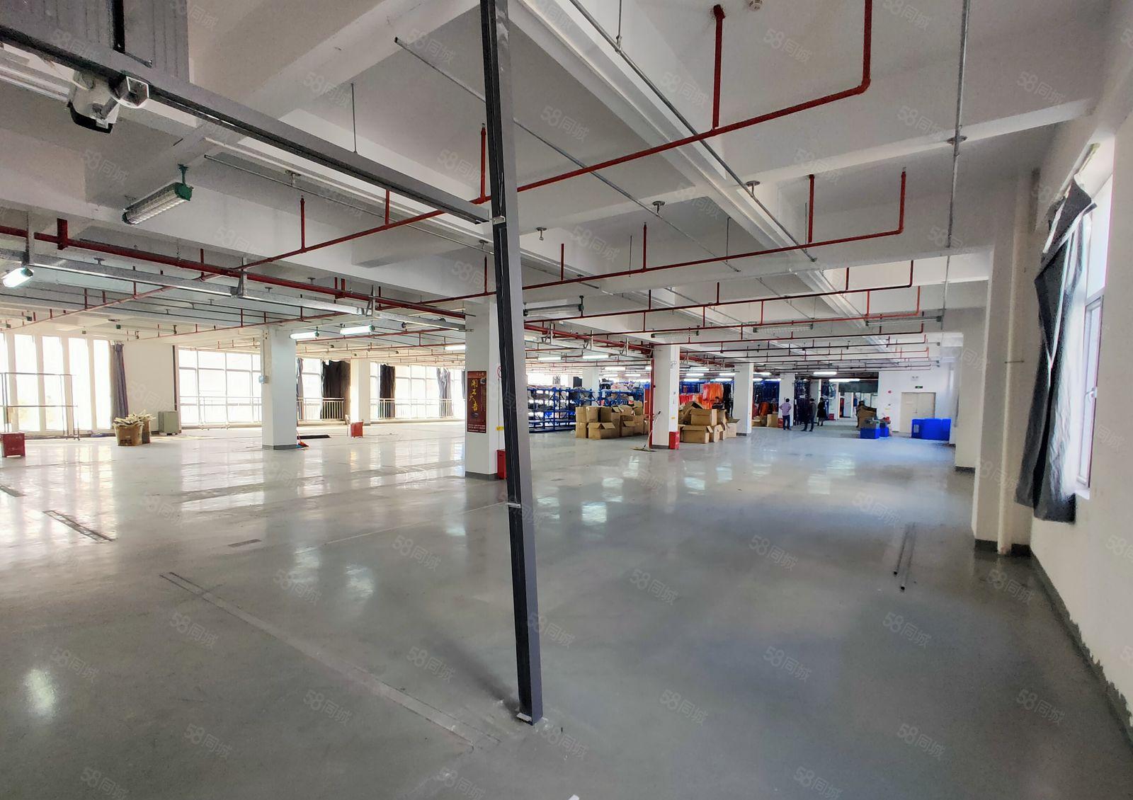 龙岗宝龙新出经典小独院2层2000平厂房出租报价20元可分租