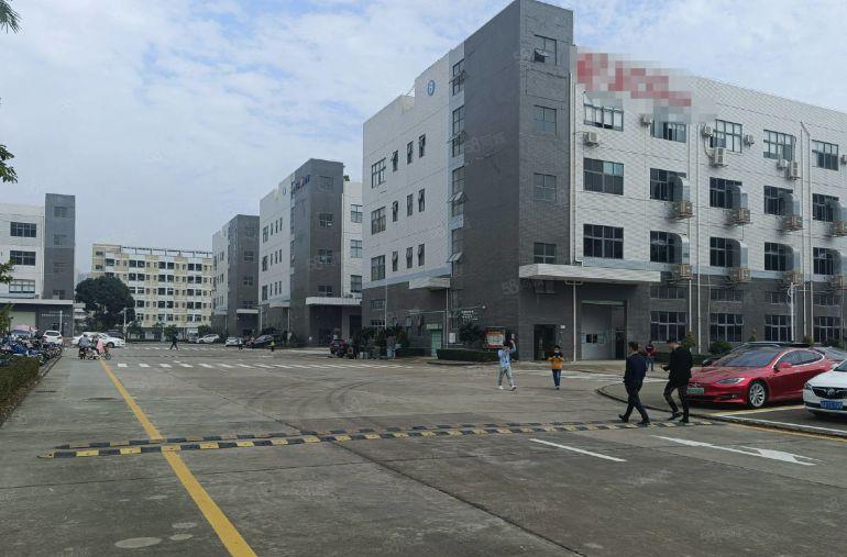 龙岗新出1000平至8000平一二楼厂房仓库出租独院大小分租