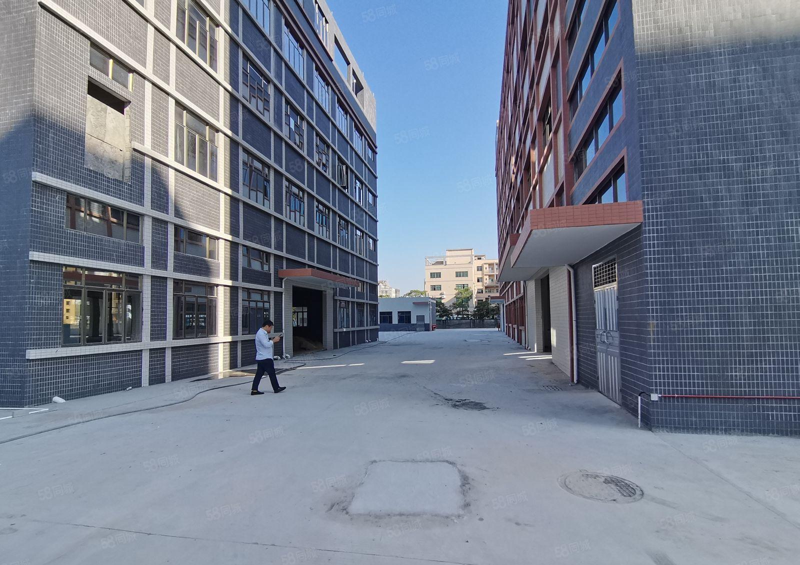 龙岗同乐工业区独院厂房8000平方厂房仓库出租1000平起分