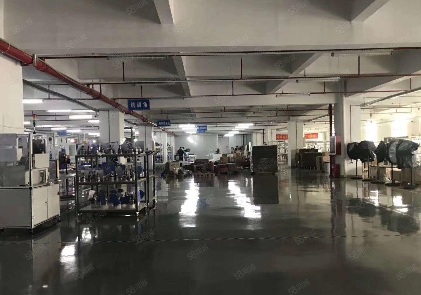 S龙岗坪地独院10000平方可分租