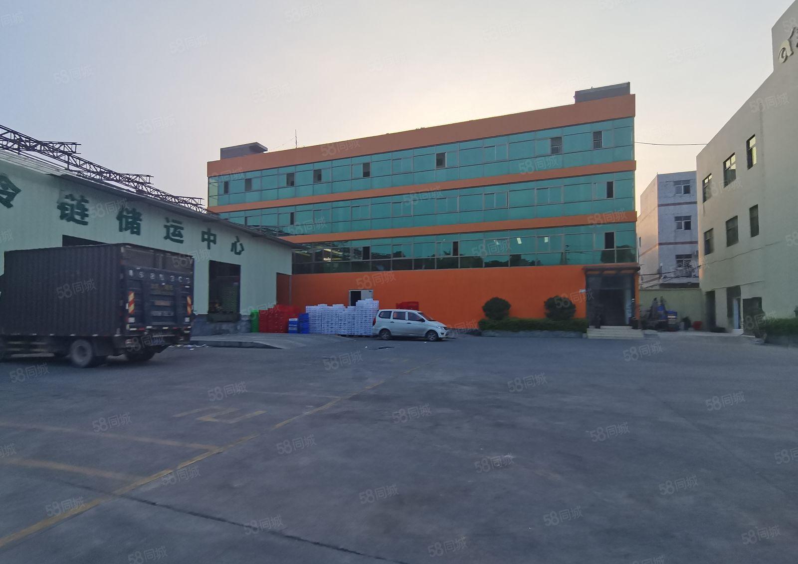 平湖白泥坑一楼1500平标准冷库冻库仓库厂房出租可分租空地大