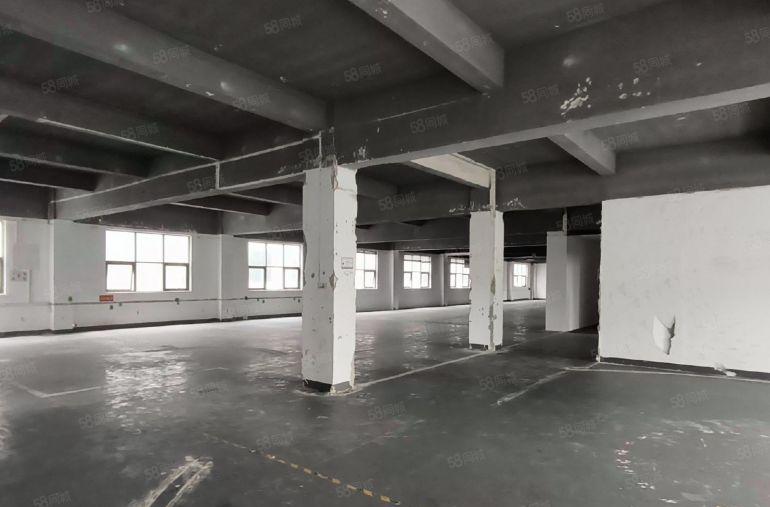 龙岗原房东直租   厂房100平起租  大车随意进出